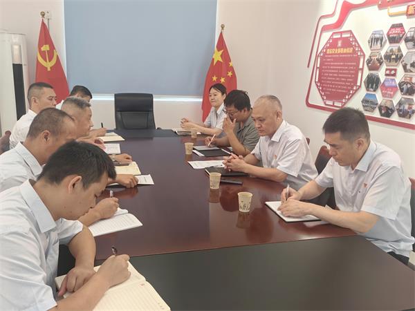 公司領(lǐng)導(dǎo)調(diào)研指導(dǎo)鼎信公司、藍(lán)盾...